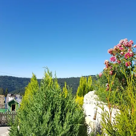 Lejlighed Vlasicka Avantura Eko Fis 509 *