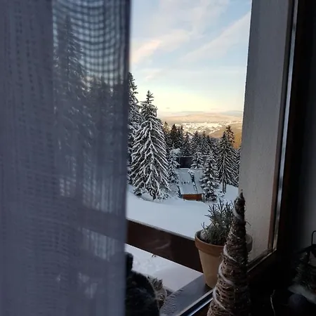 Vlasicka Avantura Eko Fis 509 * Vlašić