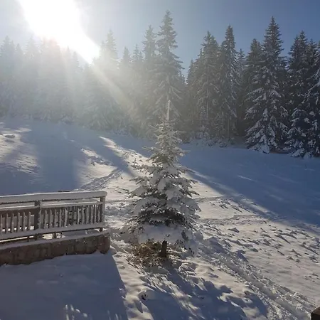 Vlasicka Avantura Eko Fis 509 아파트 블라시츠