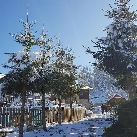 Vlasicka Avantura Eko Fis 509 *