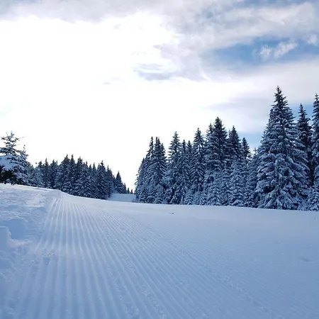 Vlasicka Avantura Eko Fis 509 블라시츠